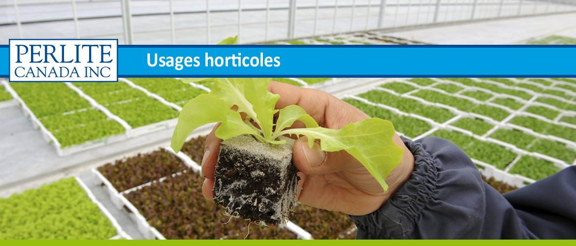 usages-horticoles-Perlite