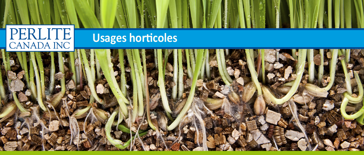 usages-horticoles-Perlite